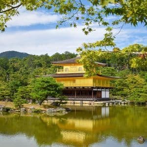 Un templo dorado se refleja en un estanque, rodeado por un jardín japonés con pinos y una colina boscosa.