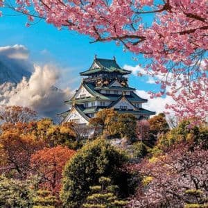 Un castillo japonés se alza en una colina entre follaje otoñal y cerezos en flor rosados, con una montaña nevada al fondo.