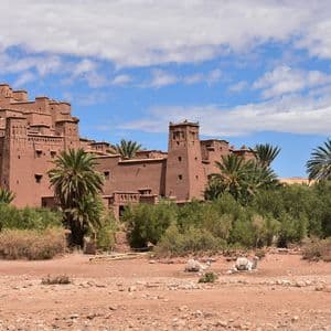 Una grande kasbah tradizionale in mattoni di fango si erge su una collina sopra le palme, con due cammelli bianchi che riposano in primo piano.