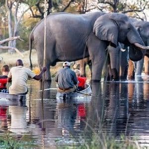 Un viaggio di gruppo WeRoad in due canoe osserva da vicino una mandria di elefanti che si abbeverano nel fiume.