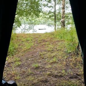 Blick aus dem Zelt auf eine Grasfläche in Richtung See mit Bäumen am Ufer.