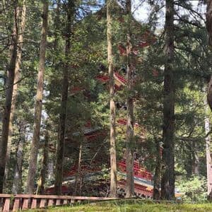 Una pagoda rossa e alta è parzialmente nascosta dai tronchi di numerosi alberi in una fitta foresta, con una staccionata di legno in primo piano.