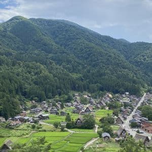 Una vista dall'alto di un villaggio con case tradizionali e risaie verdi ai piedi di una montagna boscosa.