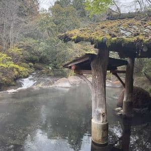 Una piscina termale all'aperto fumante sotto una tettoia in legno ricoperta di muschio, con la pioggia che increspa l'acqua e un bosco sullo sfondo.