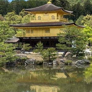 Un padiglione dorato dall'architettura tradizionale si riflette nell'acqua calma di uno stagno, circondato da alberi curati e una foresta.