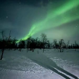 L'aurora boreale brilla di verde su un paesaggio innevato con alberi spogli e lunghe ombre proiettate sulla neve di notte.