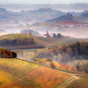 Dolci colline coperte da filari di vigneti con il fogliame dorato autunnale, con piccoli borghi e nebbia nelle valli.