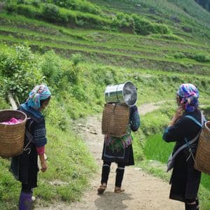 Vista da dietro di tre donne in abiti tradizionali che camminano su un sentiero sterrato, trasportando cesti accanto a campi terrazzati verdi.