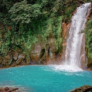 Una cascata scende da una scogliera rocciosa coperta di vegetazione verde in una pozza d'acqua turchese brillante.