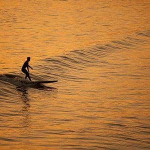 Un surfista si staglia in controluce sull'acqua dorata mentre cavalca un'onda al tramonto.