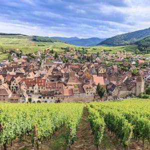 Blick von einem grünen Weinberg auf ein historisches Dorf mit einem Kirchturm, eingebettet in sanfte Hügel unter bewölktem Himmel.