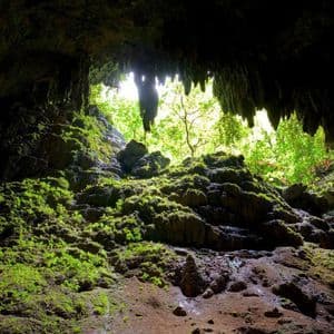 Vista dall'interno di una grotta buia, dove rocce ricoperte di muschio conducono a un'apertura luminosa e illuminata dal sole che rivela alberi verdi e lussureggianti.