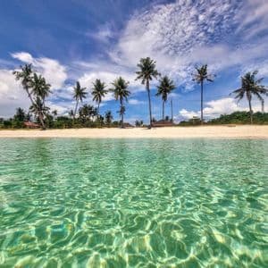 La luce del sole crea increspature sull'acqua limpida e turchese di fronte a una spiaggia di sabbia bianca fiancheggiata da alte palme.