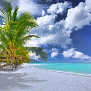 Palme costeggiano una spiaggia di sabbia bianca con mare turchese sotto un cielo azzurro parzialmente nuvoloso.