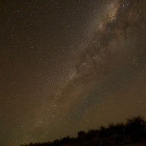 La Via Lattea si estende attraverso un cielo notturno stellato, con la sagoma di una linea di alberi in basso.