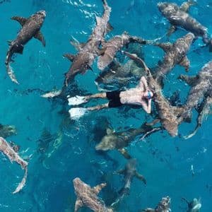 Vista aerea di una persona che galleggia sulla schiena in acqua turchese, completamente circondata da un grande banco di squali.
