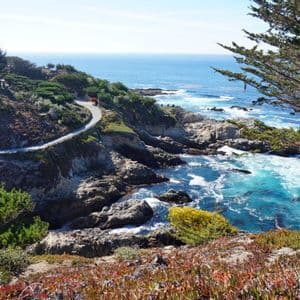 A winding road runs along a rugged coastline with rocky shores, turquoise water, and lush green trees under a clear sky.