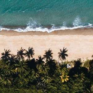Una vista aerea, dall'alto, di onde turchesi che si infrangono su una spiaggia sabbiosa delimitata da una fila di palme verdi.