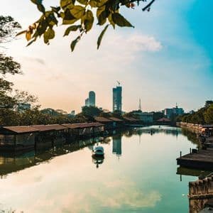 Un pedalò bianco a forma di cigno galleggia su un calmo canale urbano con lo skyline della città sullo sfondo, incorniciato da foglie d'albero.