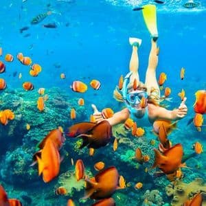 Une personne avec un masque de plongée fait un signe de pouce levé en nageant sous l'eau avec un banc de poissons oranges près d'un récif corallien.