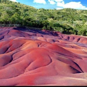 Un paisaje de dunas de arena ondulantes con vibrantes colores rojos, morados y marrones, bordeado por un bosque verde bajo un cielo azul.