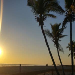 Silhouettierte Palmen an einem Sandstrand während eines goldenen Sonnenuntergangs über dem Meer, mit einem strahlenden Lichtfleck der Sonne.