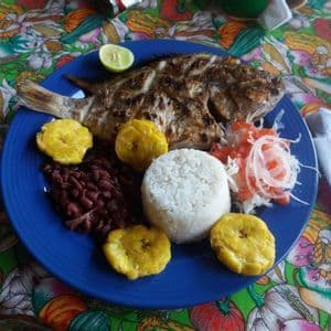 Ein ganzer gegrillter Fisch, serviert auf einem blauen Teller mit Reis, roten Bohnen, gebratenen Kochbananen und einem frischen Salat.