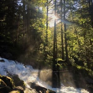 La luz del sol se filtra entre árboles altos en un bosque denso, iluminando la neblina de una cascada que se precipita sobre las rocas.