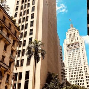 Blick aus der Froschperspektive auf klassische und moderne Wolkenkratzer, die Seite an Seite mit einer Palme unter blauem Himmel stehen.