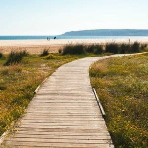 Un paseo marítimo de madera serpentea entre dunas cubiertas de hierba con flores silvestres, conduciendo hacia una playa de arena con el océano de fondo.