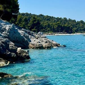 Acqua cristallina e turchese circonda una costa rocciosa coperta di alberi verdi, con una spiaggia sabbiosa visibile sullo sfondo sotto un cielo azzurro.