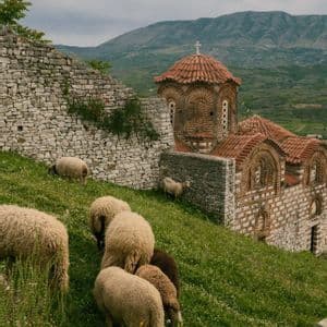 A flock of sheep grazing on a green hillside next to a historic stone church with a red-tiled roof and mountains in the background.
