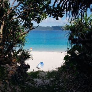 Una vista da un sentiero attraverso alberi lussureggianti rivela un kayak blu e bianco che riposa su una spiaggia di sabbia bianca accanto all'acqua turchese.