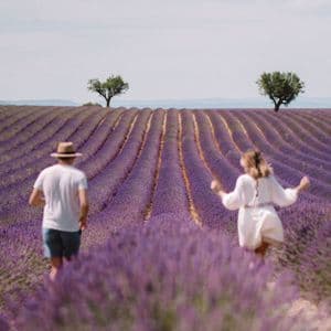 A man and a woman, seen from behind, walking through rolling rows of purple lavender in a large field.