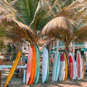 Una fila di tavole da surf colorate si erge verticalmente sulla sabbia di una spiaggia, all'ombra di grandi palme.