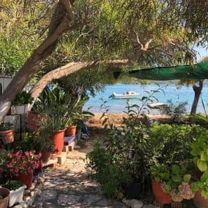 Un sentiero in pietra attraverso un lussureggiante giardino ricco di piante in vaso e alberi conduce a una baia calma e blu con una piccola barca a motore.