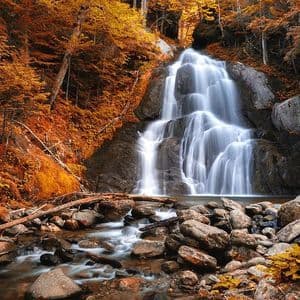 Una foto a lunga esposizione di una cascata che si getta su rocce scure, circondata da una fitta foresta con un vibrante fogliame autunnale arancione e giallo.