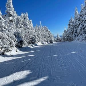 Un'ampia pista da sci coperta di neve fresca, affiancata da pini innevati sotto un cielo azzurro e limpido.