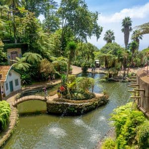 Blick von oben auf einen üppigen botanischen Garten mit Spaziergängern an einem Teich mit Springbrunnen, einer kleinen Brücke und dichten tropischen Pflanzen.