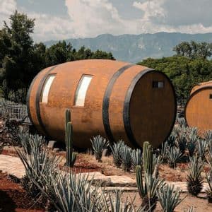 Un gran edificio con forma de barril de madera está situado en un campo de plantas de agave azul y cactus, con montañas al fondo.