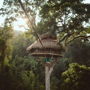 Una casa sull'albero con tetto di paglia si trova in alto su un grande albero, circondata da una giungla fitta con la luce del sole che filtra attraverso la volta.