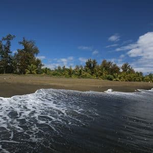 Un'onda spumosa si infrange su una spiaggia di sabbia scura, orlata da alberi tropicali verdi sotto un cielo azzurro e limpido.