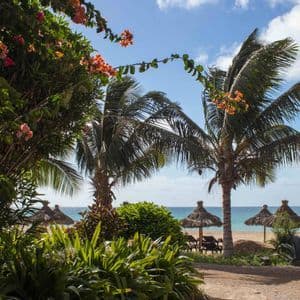 Des plantes tropicales luxuriantes et des palmiers encadrent une plage de sable avec des parasols en chaume et des chaises longues donnant sur l'océan.