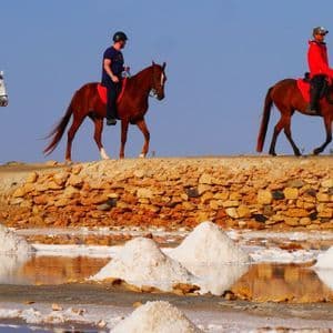 Un viaggio di gruppo WeRoad a cavallo in fila indiana lungo un sentiero roccioso accanto a saline con cumuli bianchi.