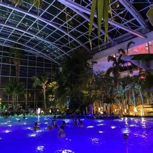 La gente nada en una gran piscina cubierta iluminada con luces azules por la noche, rodeada de palmeras bajo un techo de cristal.