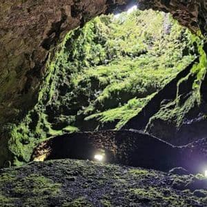 L'interno di una grande grotta ricoperta di muschio con un'apertura nel soffitto e un sentiero di pietra illuminato da luci.