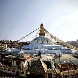 Eine große weiße Stupa mit einer goldenen Spitze und farbenfrohen Gebetsfahnen ist umgeben von Stadtgebäuden und Tauben unter einem klaren blauen Himmel.