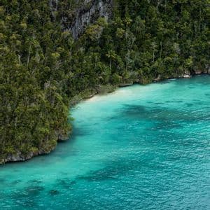 Una vista aerea di una costa rocciosa con una fitta giungla verde che incontra una distesa di acqua turchese cristallina.