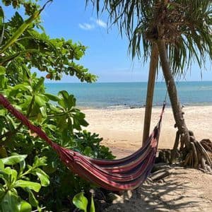 Un hamac rayé coloré est suspendu sous un palmier sur une plage de sable, avec l'océan turquoise en arrière-plan.