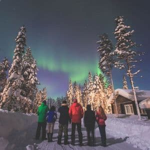 Eine WeRoad-Gruppe steht in einer verschneiten Landschaft zwischen Kiefern und beobachtet, wie die Nordlichter den Nachthimmel erhellen.